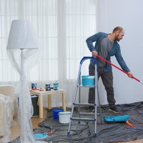 young-man-painting-wall-with-roller-brush-while-renovating-his-apartment-handyman-redecoration-home-construction-while-renovating-improving-repair-decorating_482257-14162 (1)
